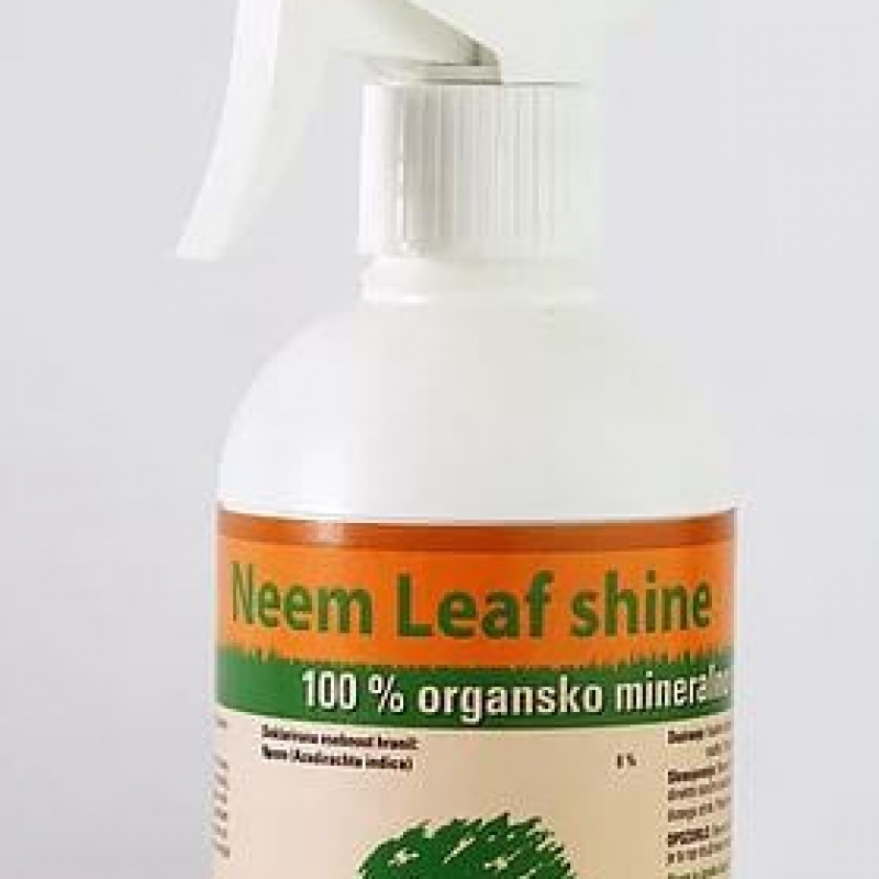 Neem Leaf Shine 300 ml